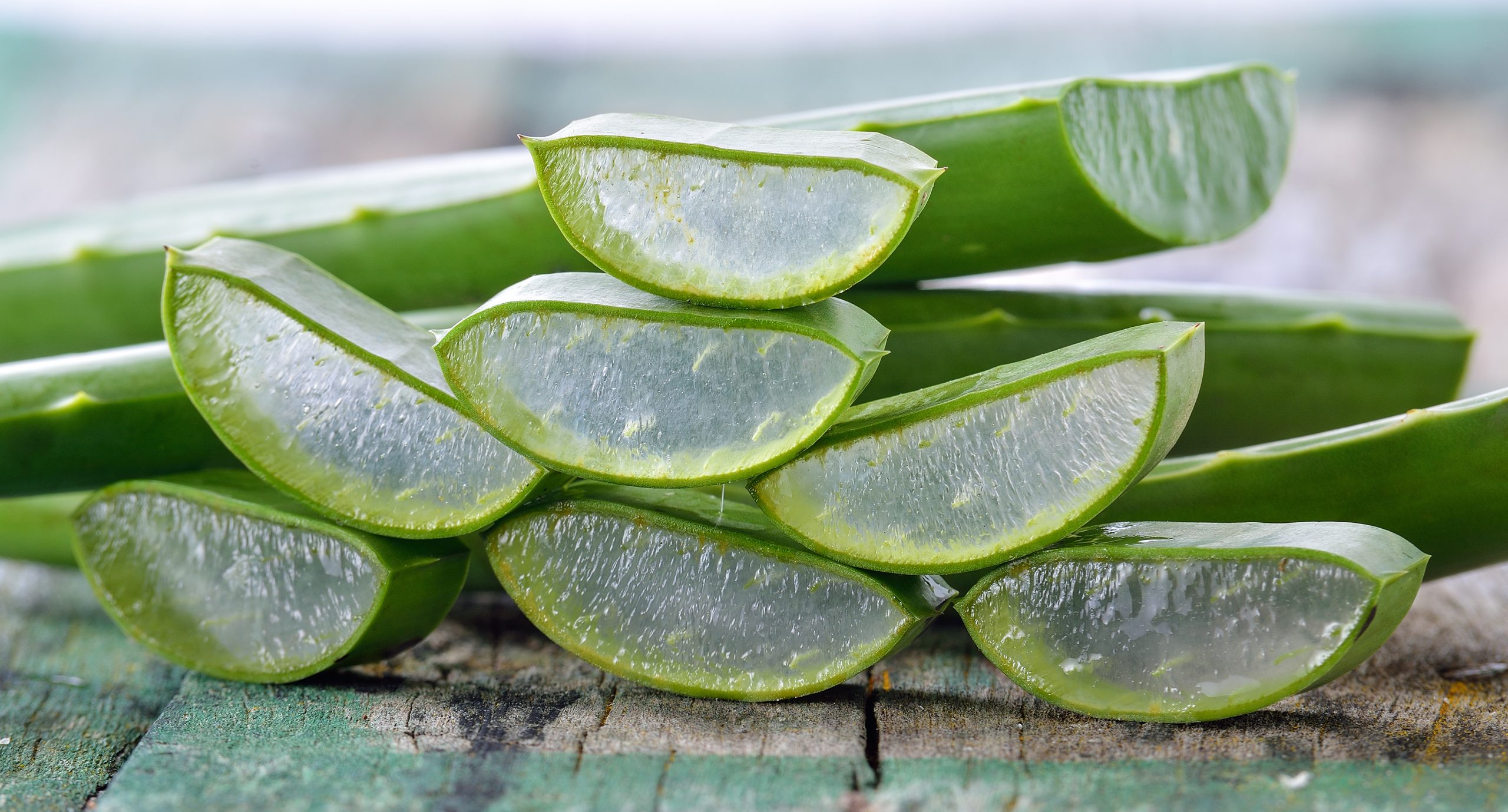 Poder del Aloe Vera: 20 Beneficios y Formas de Consumirlo