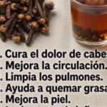 La imagen actual no tiene texto alternativo. El nombre del archivo es: 797783822_1399447121663467_3761093207068279227_n-400x267-3.jpg