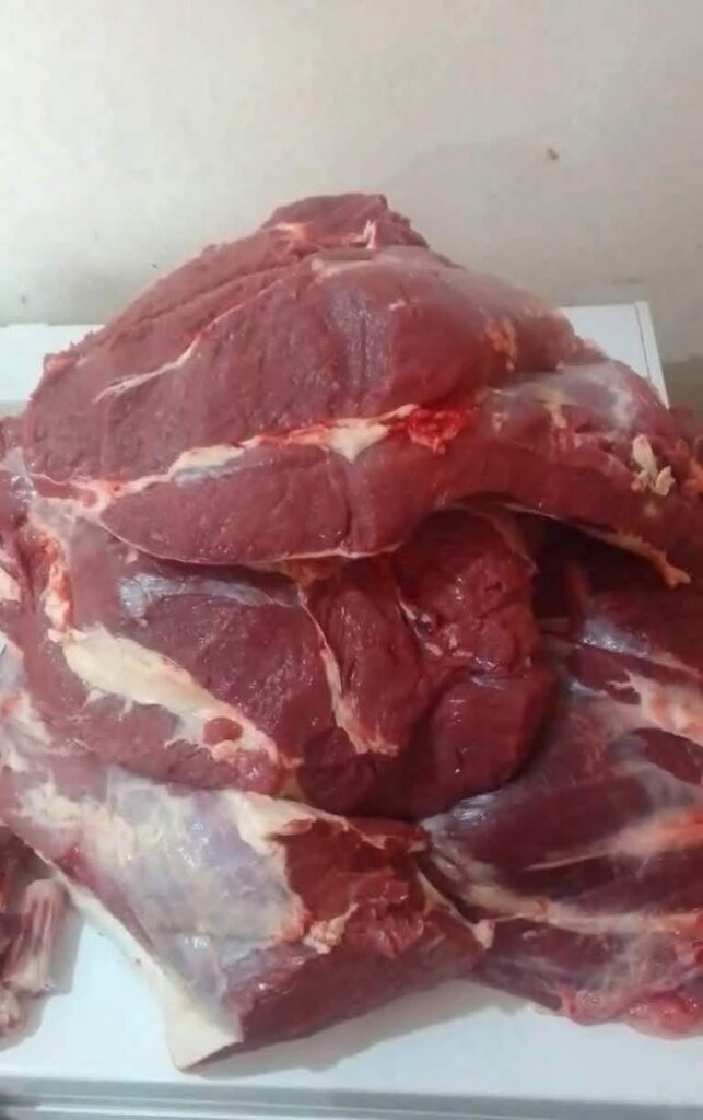 La imagen actual no tiene texto alternativo. El nombre del archivo es: 831762719_1248655927446114_8873184792861729332_n.jpg