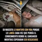 La imagen actual no tiene texto alternativo. El nombre del archivo es: 840001904_1637173544704391_2782367302093078365_n-1.jpg