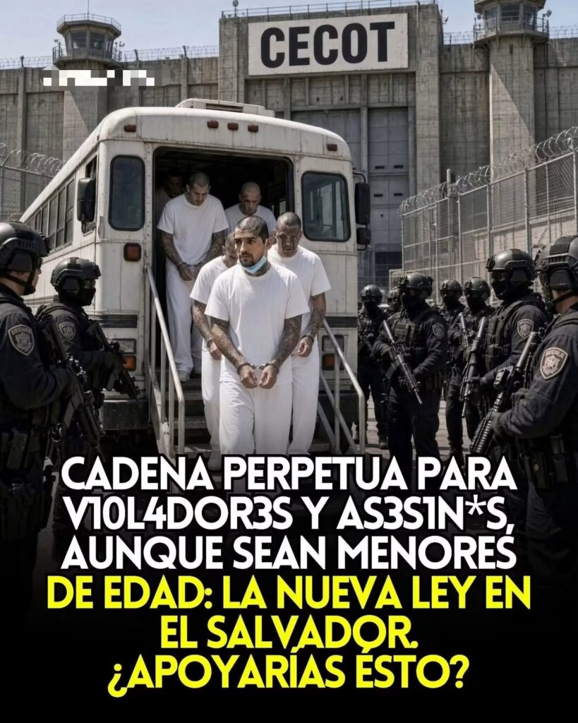 La imagen actual no tiene texto alternativo. El nombre del archivo es: 844321697_122127664712844294_8310423308009093145_n.jpg