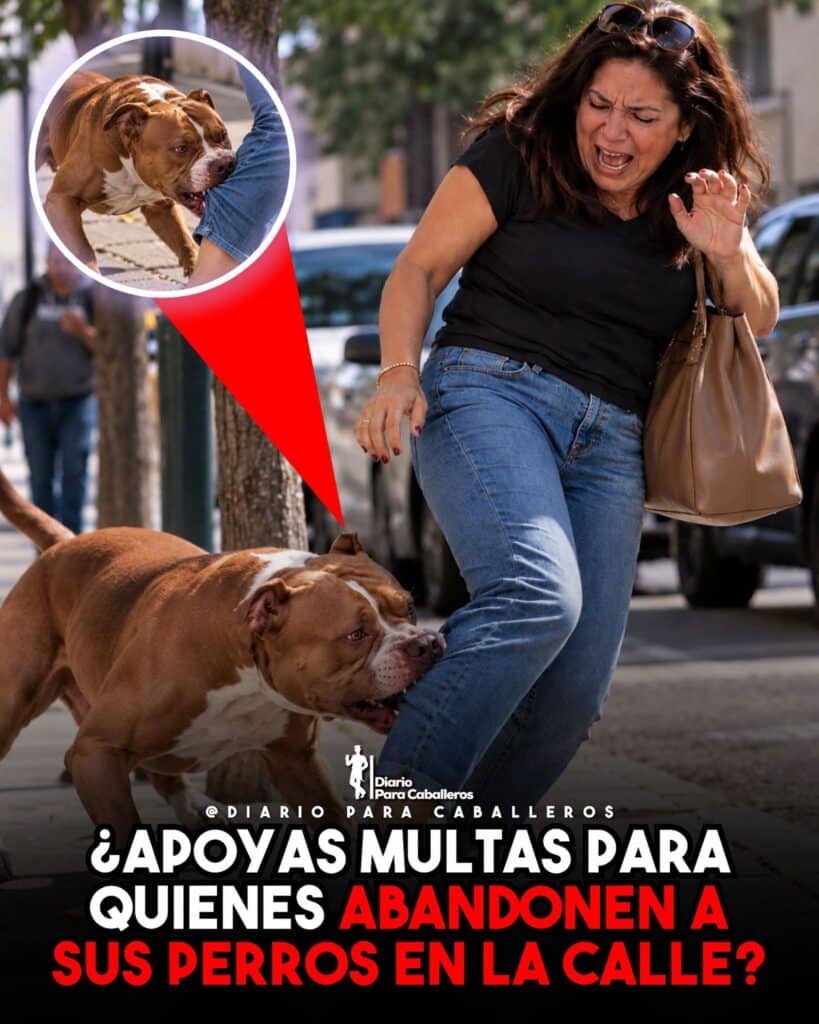 La imagen actual no tiene texto alternativo. El nombre del archivo es: 854630778_1117334060903937_6707829905714203657_n.jpg