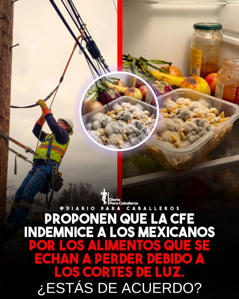 La imagen actual no tiene texto alternativo. El nombre del archivo es: 854760197_1623766662564467_8500887352563254863_n.jpg