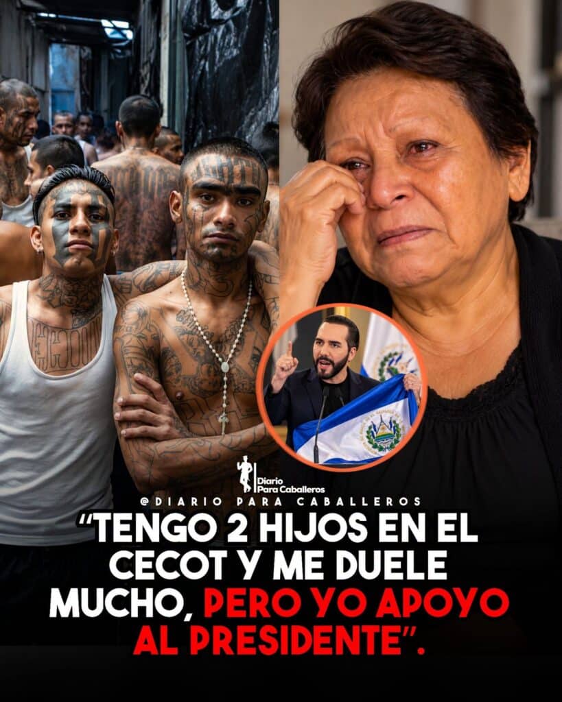 La imagen actual no tiene texto alternativo. El nombre del archivo es: 855896565_1821193325736091_8813593952288393613_n.jpg