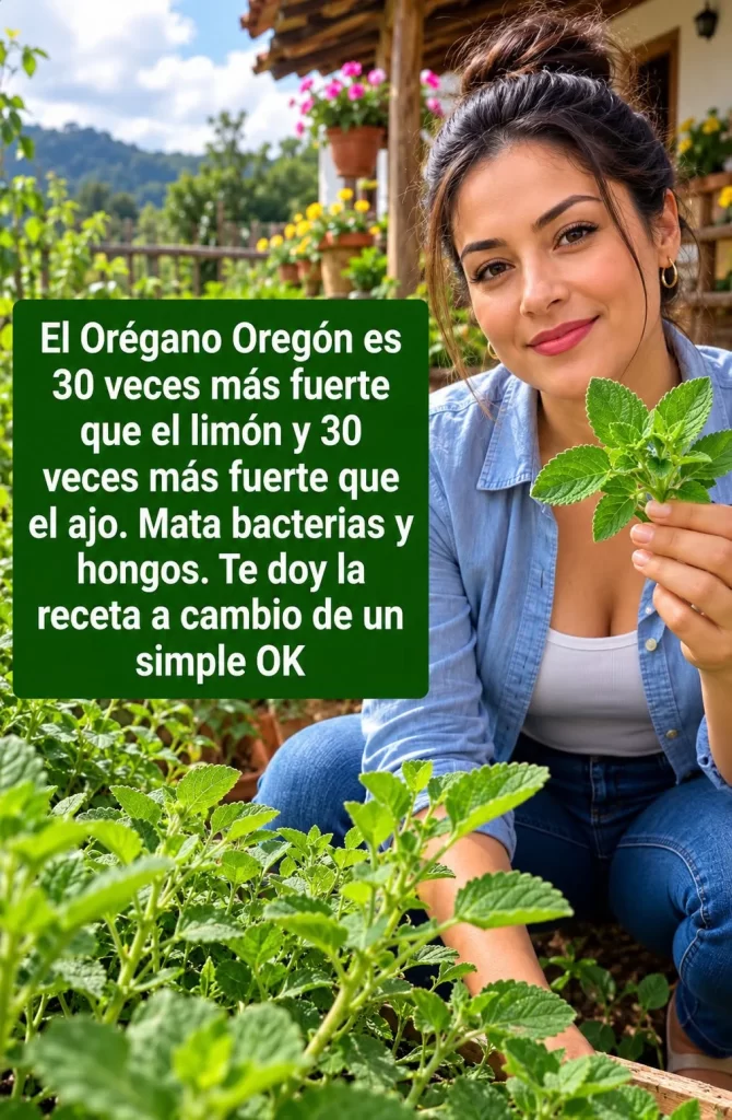 La imagen actual no tiene texto alternativo. El nombre del archivo es: 856856033_1420208041165904_1185651582901292276_n.webp