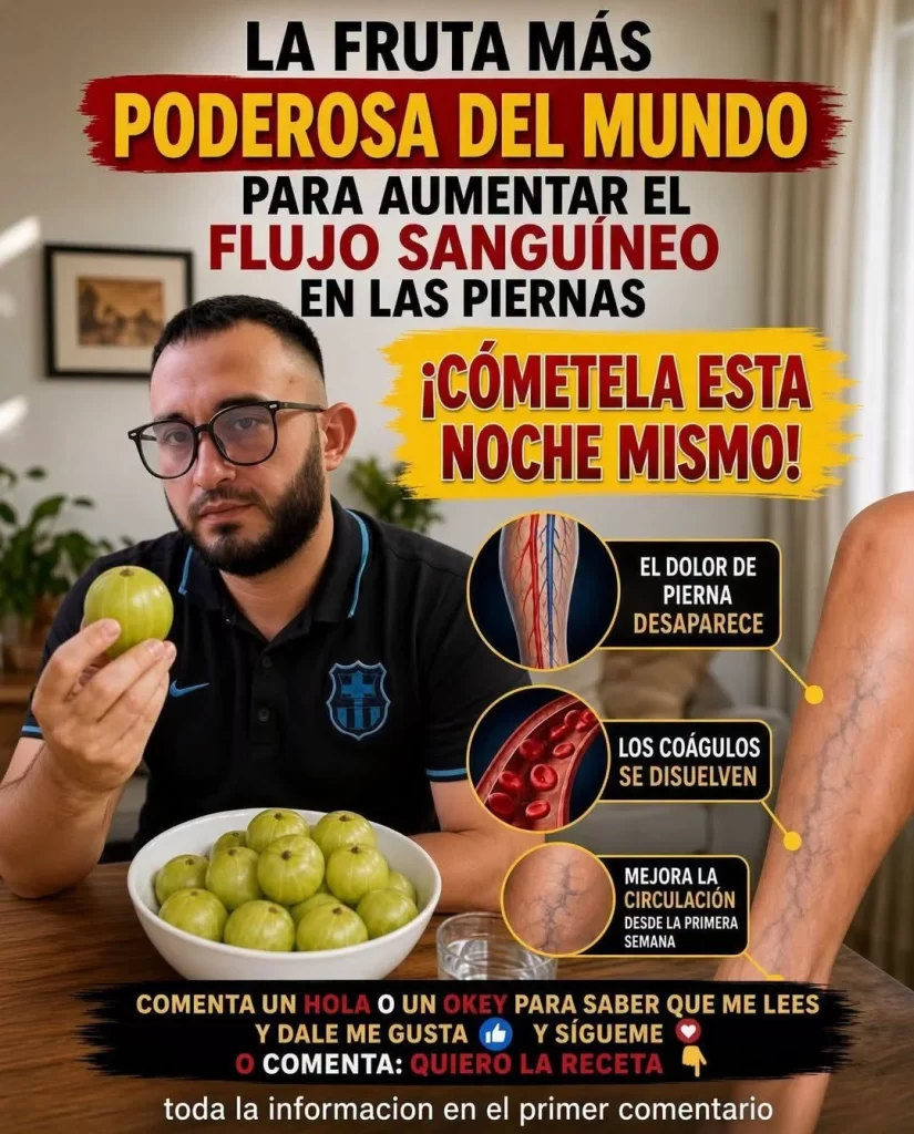 La imagen actual no tiene texto alternativo. El nombre del archivo es: 858690168_1579638583901766_3988163952230153843_n.webp