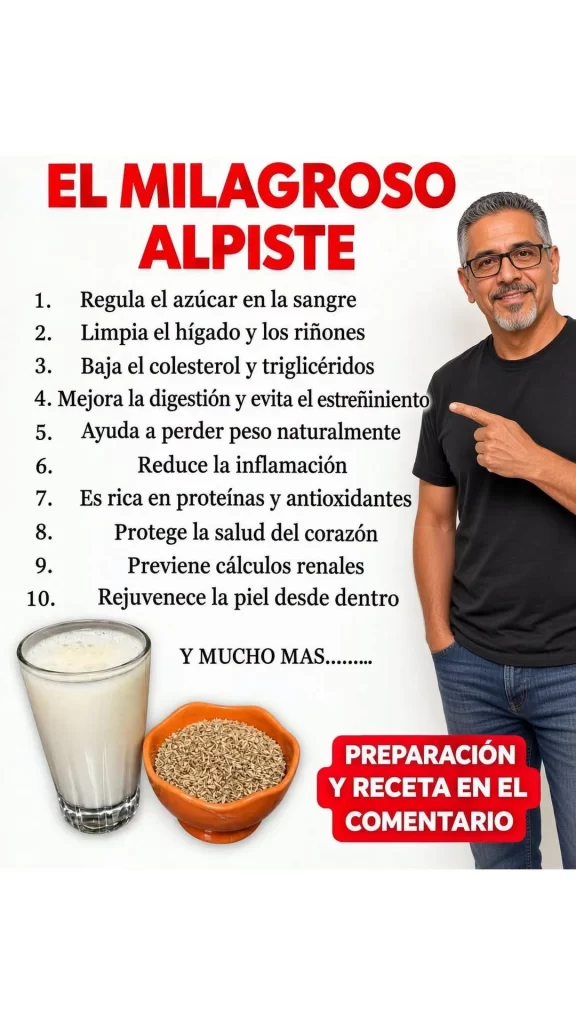 La imagen actual no tiene texto alternativo. El nombre del archivo es: 860300596_4365661350410798_9017189109713870128_n.webp