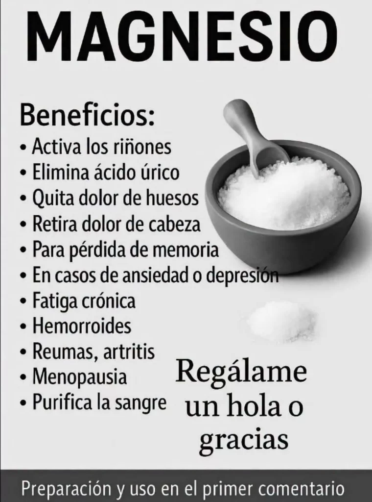La imagen actual no tiene texto alternativo. El nombre del archivo es: 863369393_1877853390048386_7276126363364154105_n.webp