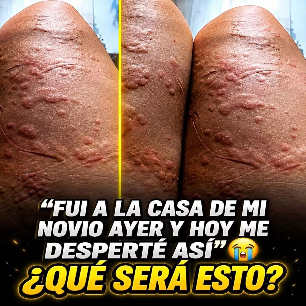 La imagen actual no tiene texto alternativo. El nombre del archivo es: 867081375_122129383424844294_8417066658057742507_n.jpg